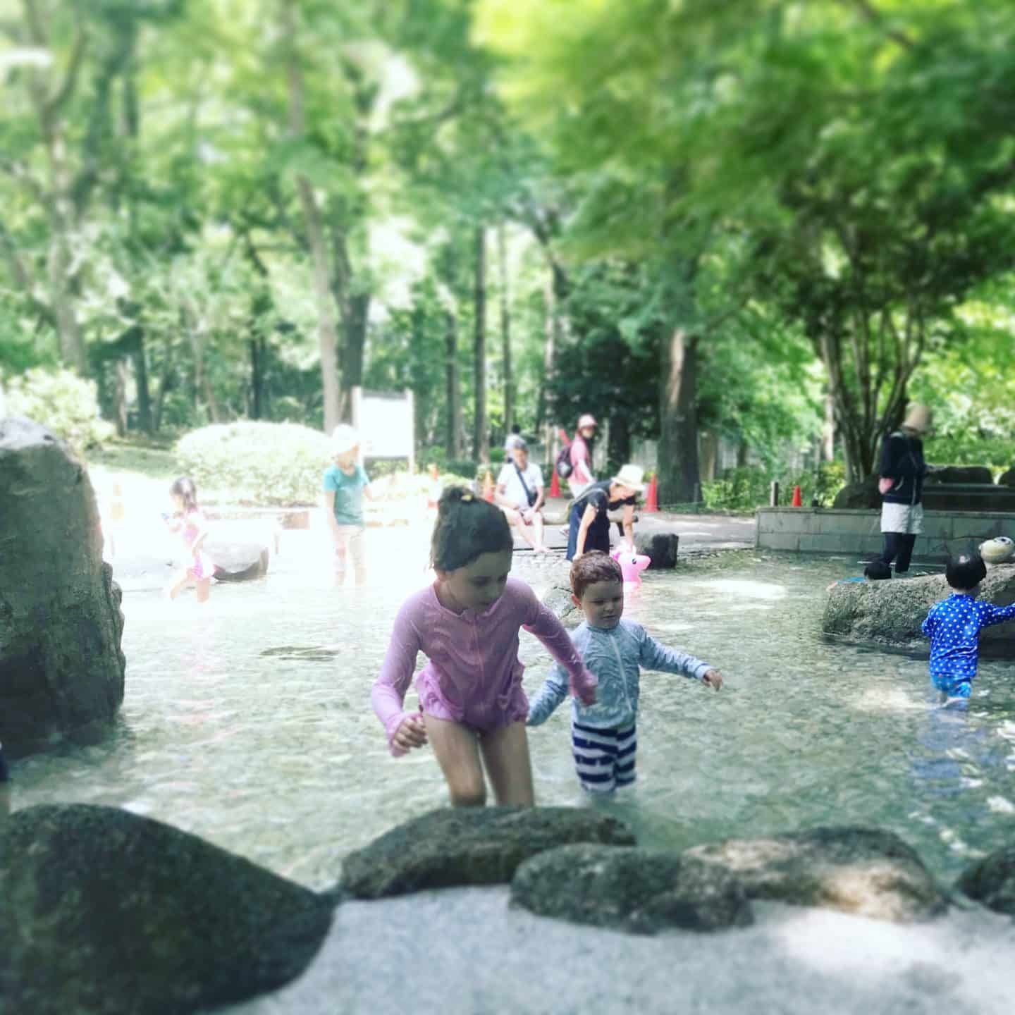 🏞️ 고다이라 시립 중앙공원 (코다이라 시리츠 추오 코엔) 이미지 8